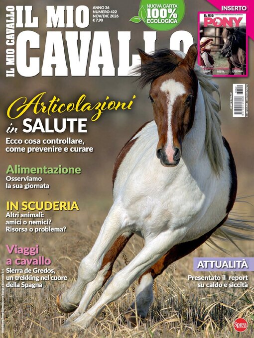 Cover image for Il mio Cavallo